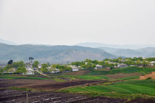 Typical houses of peasants built by the state for residents of countryside. North Korea. DPRK. Village and agricultural fields at dawn