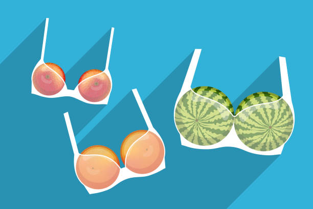 Brassieres with fruits inside. Different bra sizes vector art illustration