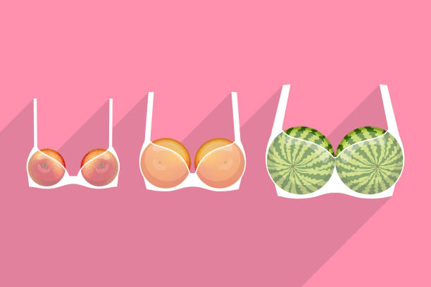 Brassieres with fruits inside. Different bra sizes Three white brassieres with fruits inside, over colored background. Apple, grapefruit and watermelon are as small, medium and large breasts. How to orient in choosing of bra size funny apple pics stock illustrations