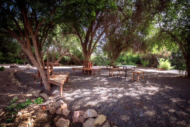 istock Al Ansab Wetlands 1163540099