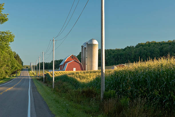 cornfield y rojo barn al amanecer - poste telegráfico fotografías e imágenes de stock