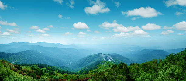 Lush green panoramic landscape of China