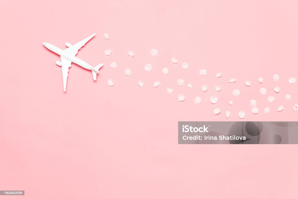 Travel Concept With Plane And Flower Petals On Pink Background With Copy  Space Stock Photo - Download Image Now - iStock