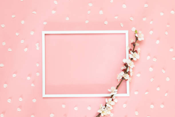 istock Minimalist board mockup with cherry branch. Fresh branches of cherry with frame mockup for special offers as advertising or other ideas. 1163542171