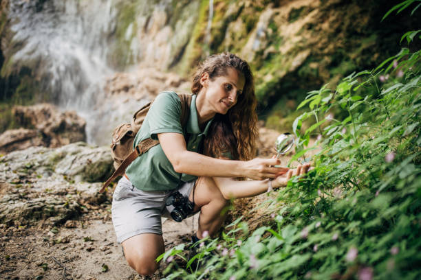 istock Woman biologist exploring plants by the waterfall 1163542916