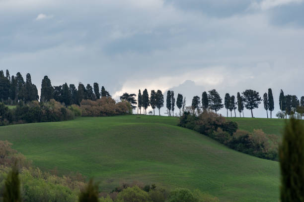 istock Landscape of Tuscany 1163543404