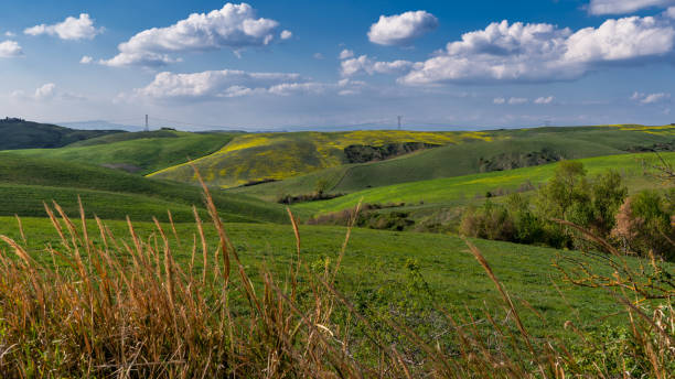 istock Landscape of Tuscany 1163544853