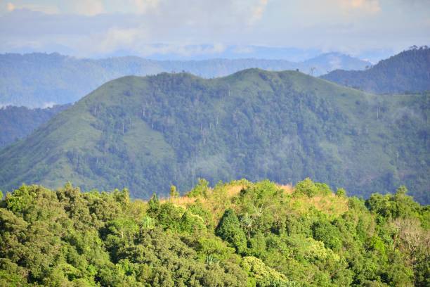 istock Landscape of green mountain view with Blur style : provide for insert into background base layer 1163546152
