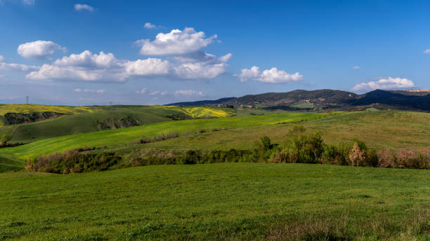 istock Landscape of Tuscany 1163546848