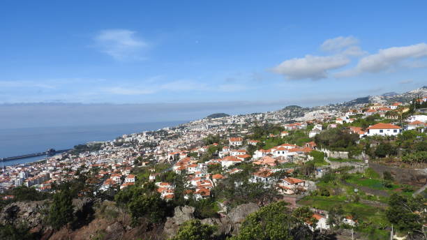 istock Landscapes of Madeira 1163547519