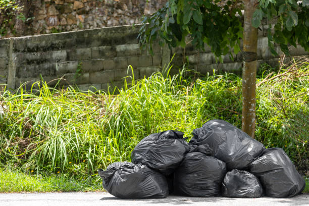 istock Big and many plastic garbage bag on streets with garbage sitting on ground 1163548975