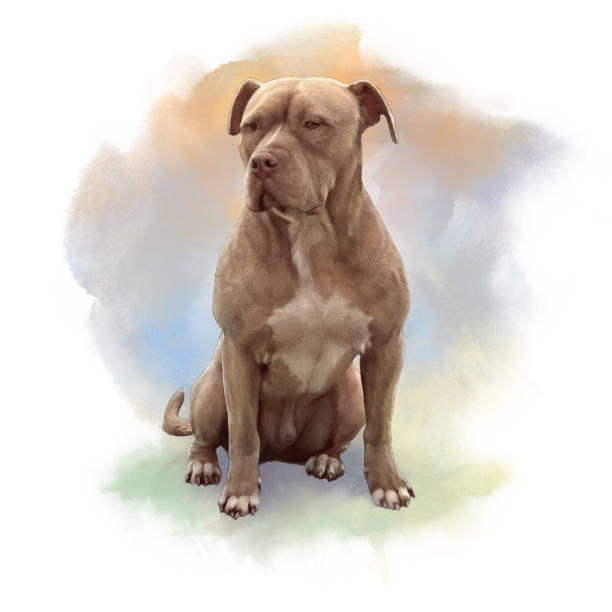 坑公牛梗。狗美國斯塔福德郡獵犬 - 比特犬 幅插畫檔、美工圖案、卡通及圖標
