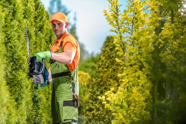 istock Gardener Green Wall Trimming 1163550378