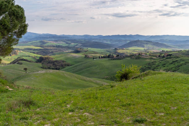 istock Landscape of Tuscany 1163550398