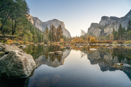 El Capitan reflection on river at Yosemite national park, USA in Autumn with yellow and orange leaves floating on water surface
