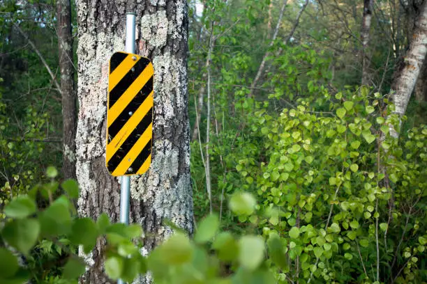 A photo taken of a Caution Sign off of a wooded trail at Hartman Creek State Park in Waupaca, Wisconsin. There is a marked maple tree and a birch tree in the picture mixed with a bunch of plant leaves. The sign is a warning for the bridge ahead that allows water to flow in Hartman Creek from a waterfall off Hartman Lake.
