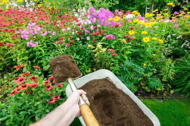 Compost Compost soil - for the flowerbed topsoil stock pictures, royalty-free photos & images