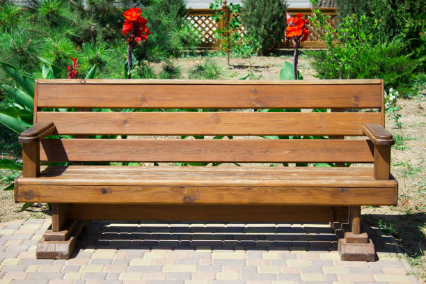 Beautiful wooden bench among the park plants, rest background