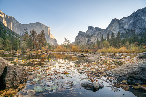 View through the trees of Half Dome in Yosemite Valley, California