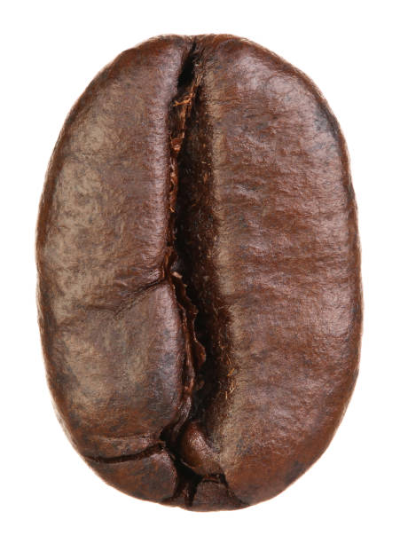 クリッピング パスと白い背景で隔離のコーヒー豆 - coffee crop bean seed directly above ストックフォトと画像