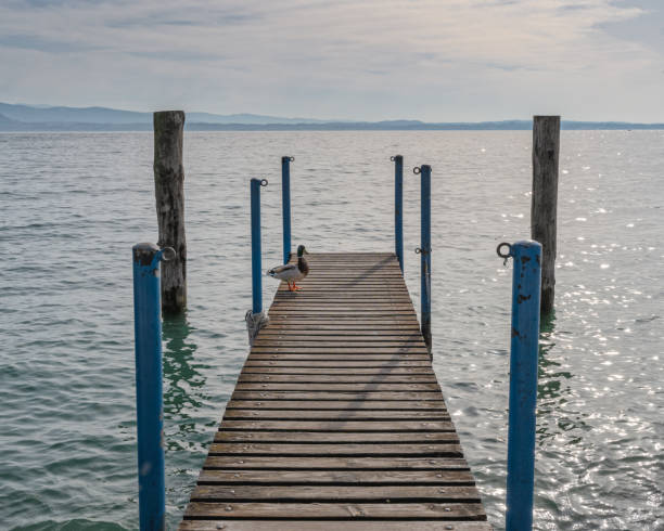 istock Footbridge at the Lake Garda 1163561495