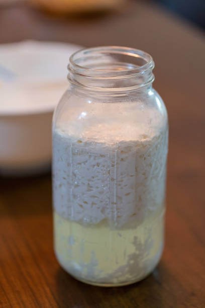 istock Fermented full fat milk with kefir grains 1163563863