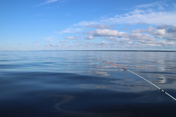 fishing on a quiet summer morning on the lake rod with fishing line stretched