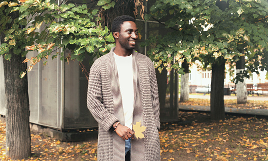 Fashion portrait happy smiling african man looking away holds yellow maple leaves in autumn park