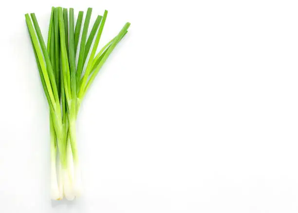 Photo of Fresh spring onions isolated on white background with copy space,top view