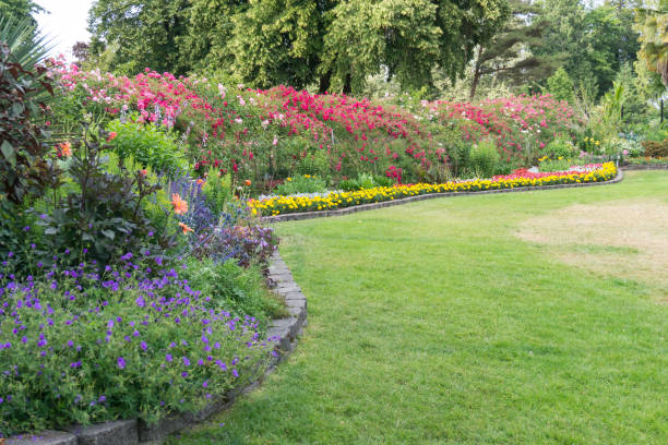istock Lawn And Garden 3 1163567429