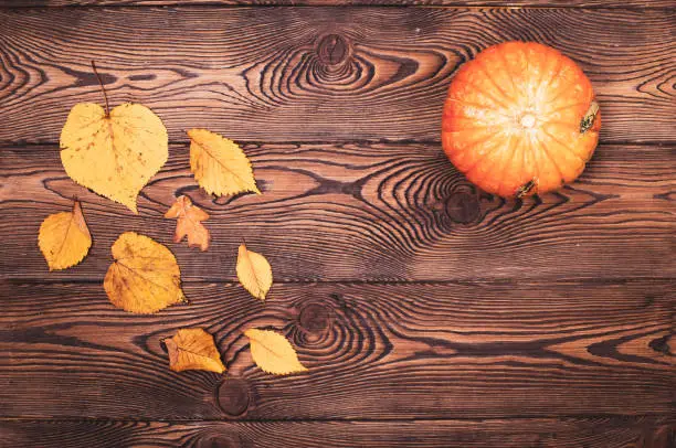 Top view of mini-pumpkins and fallen autumn leaves on a wooden background. Happy Thanksgiving and Harvest Day.