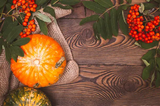 Top view of mini-pumpkins and autumn rowan on a wooden background. Happy Thanksgiving and Harvest Day.