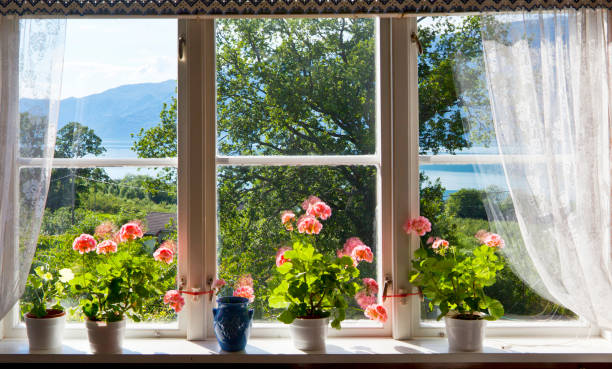 Shikisai Hill from Windows
