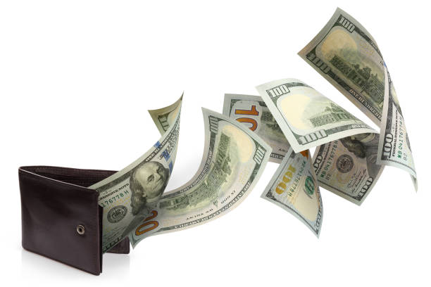 istock Dollars banknotes flying out of a leather wallet on white 1163574697