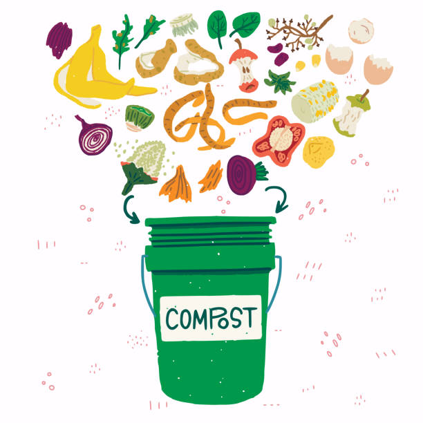 illustrazioni stock, clip art, cartoni animati e icone di tendenza di cestino del compost con illustrazione di scarti alimentari - spreco alimentare