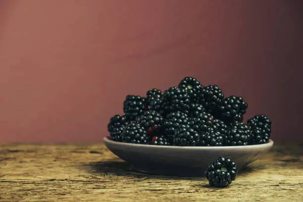 Fresh blackberry in bowl on a old oak wooden table and dark-red wall background.