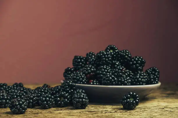 Fresh blackberry in bowl on a old oak wooden table and dark-red wall background.