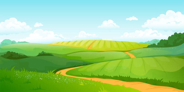 Summer fields landscape. Cartoon countryside valley with green hills blue sky and curly clouds. Vector rural nature view Summer fields landscape. Cartoon countryside valley with green hills blue sky and curly clouds. Vector rural nature horizon pasture view field of grass stock illustrations