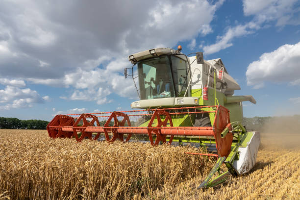 istock modern combine (harvester)  harvesting on wheat field, cloudy sky 1163581343