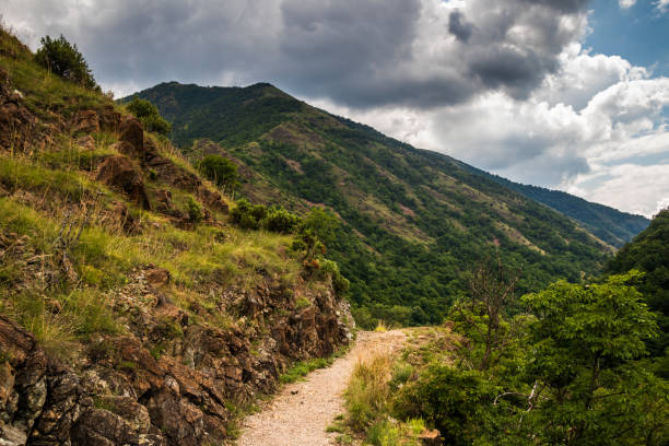 istock Mountain footpath through forest along the rocks 1163583978