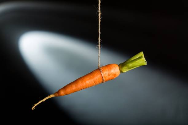 Carrot. Carrot string humor metaphor isolated ambition temptation temptation photos stock pictures, royalty-free photos & images