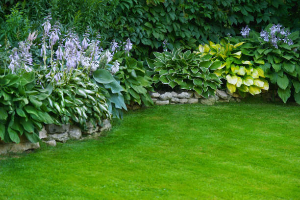 istock Beautiful garden with green grass 1163584955