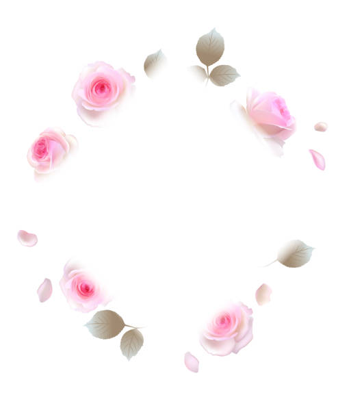 istock Flowers. Roses. Floral background. Leaves. Pink. 1163587965
