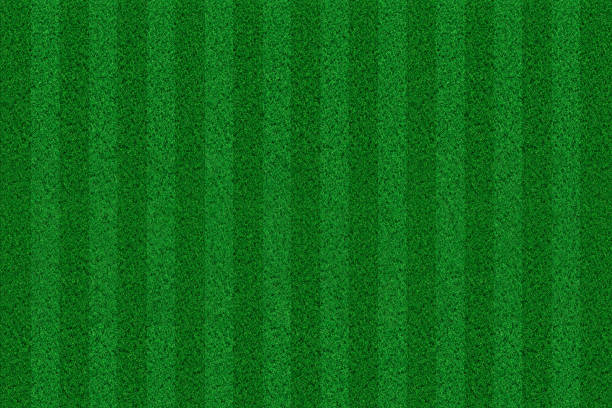 istock Football field texture from above 1163588025
