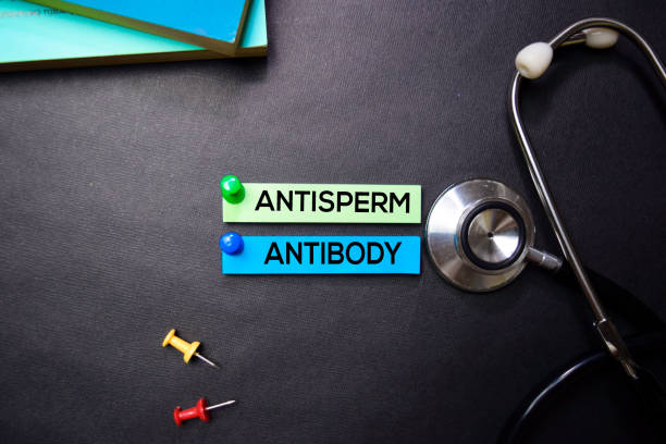 istock Antisperm Antibody text on Sticky Notes. Top view isolated on black background. Healthcare/Medical concept 1163588964