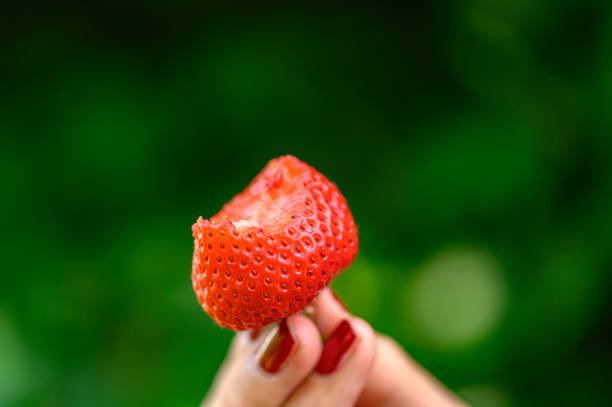 istock A ripe strawberry held high in fingertips. 1163589123