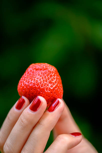 istock A ripe strawberry held high in fingertips. 1163589205