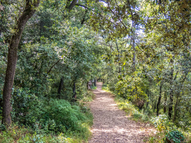 istock Path around monastery of Escornalbou, Tarragona, Spain 1163592628