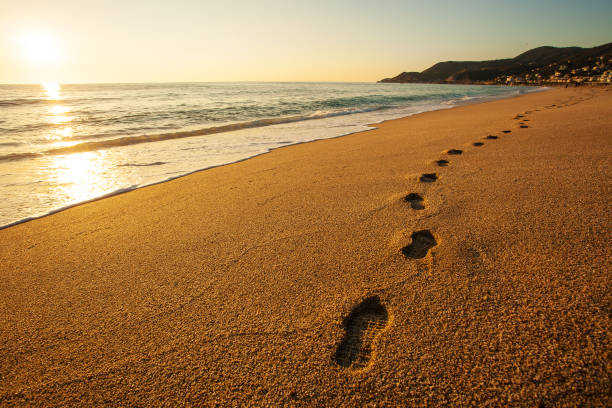atardecer sereno en una playa - sand footprint track following fotografías e imágenes de stock