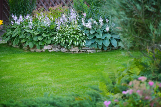 istock Beautiful garden with green grass 1163593152
